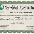 Powiększ obraz: certificate 22