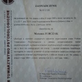 Powiększ obraz: certificate 4