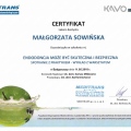 Powiększ obraz: certificate 8