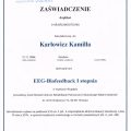 Powiększ obraz: certificate 3