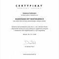 Powiększ obraz: certificate 1