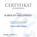 Powiększ obraz: certificate 4