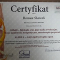 Powiększ obraz: certificate 20