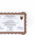 Powiększ obraz: certificate 19