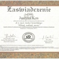 Powiększ obraz: certificate 13