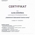 Powiększ obraz: certificate 13