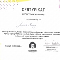 Powiększ obraz: certificate 9