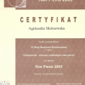 Powiększ obraz: certificate 11
