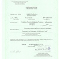 Powiększ obraz: certificate 9