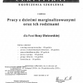 Powiększ obraz: certificate 1
