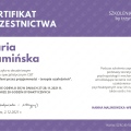 Powiększ obraz: certificate 13