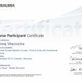 Powiększ obraz: certificate 4
