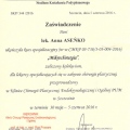 Powiększ obraz: certificate 56