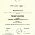 Powiększ obraz: certificate 2