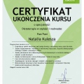 Powiększ obraz: certificate 6