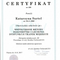Powiększ obraz: certificate 7