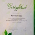 Powiększ obraz: certificate 6