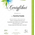 Powiększ obraz: certificate 19