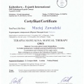 Powiększ obraz: certificate 11