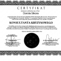 Powiększ obraz: certificate 4