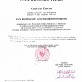 Powiększ obraz: certificate 5