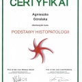 Powiększ obraz: certificate 34