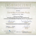 Powiększ obraz: certificate 2