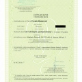Powiększ obraz: certificate 9