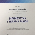 Powiększ obraz: certificate 11