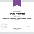 Powiększ obraz: certificate 11