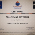 Powiększ obraz: certificate 2