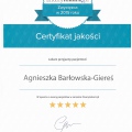 Powiększ obraz: certificate 1
