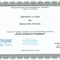 Powiększ obraz: certificate 7