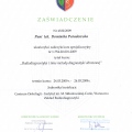Powiększ obraz: certificate 6
