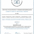 Powiększ obraz: certificate 1