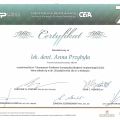 Powiększ obraz: certificate 16