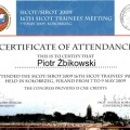 Powiększ obraz: certificate 47