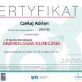Powiększ obraz: certificate 3