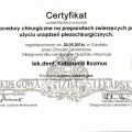 Powiększ obraz: certificate 10