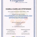 Powiększ obraz: certificate 8