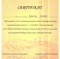 Powiększ obraz: certificate 19