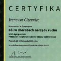 Powiększ obraz: certificate 4