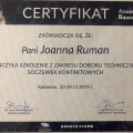 Powiększ obraz: certificate 1