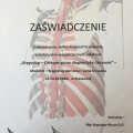 Powiększ obraz: certificate 13