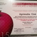Powiększ obraz: certificate 12