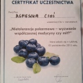 Powiększ obraz: certificate 7