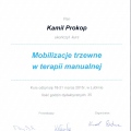 Powiększ obraz: certificate 1