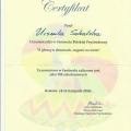 Powiększ obraz: certificate 2