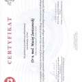 Powiększ obraz: certificate 1