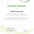 Powiększ obraz: certificate 7